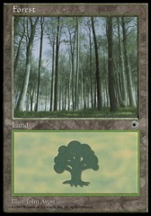Forest (A) [Upwards View]