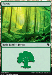 Forest (309)