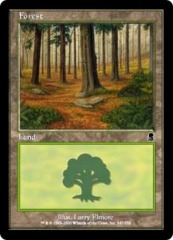 Forest (347)