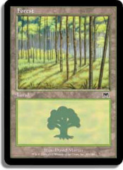 Forest (350)