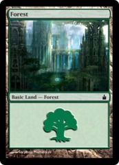 Forest (303) - Foil