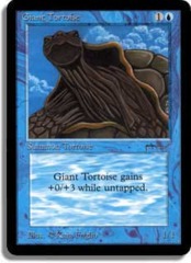 Giant Tortoise