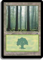 Forest (D) [3 Trees in Foreground]