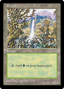 Forest (C) [Waterfall]