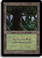 Forest (C) [Animal in Tree]