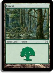 Forest (305)