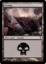 Swamp - A (241)