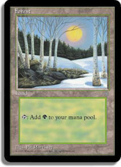 Forest (B) [Sun in Sky]