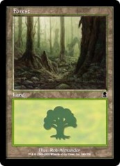 Forest (348)