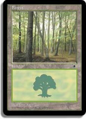 Forest (C) [Foreground Tree at Left]