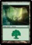 Forest - A (246)