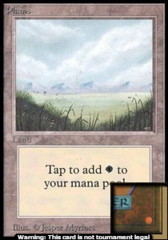 Plains - A [Foreground Grass, No Trees]