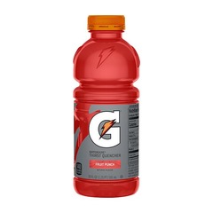 Gatorade Fruit Punch 20 oz