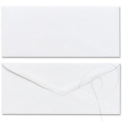 Plain White Envelope Shipping