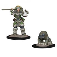 Wizkids Pre-Painted Miniatures: Girl Druid & Stone Creature