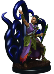 Premium Painted - Human Warlock