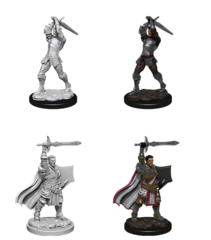 Human Paladin - Male 90060 - D&D Nolzur's Marvelous Miniatures