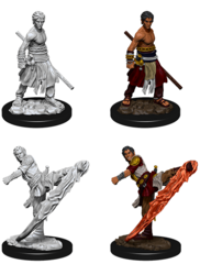 Half Elf Monk - Male - 73838 - D&D Nolzur's Marvelous Miniatures
