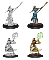 Elf Sorcerer - Female WZK90054 - D&D Nolzur's Marvelous Miniatures