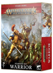Warhammer Age of Sigmar: Warrior Starter Set