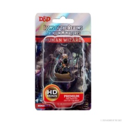 93041 - Premium Painted - Male Human Wizard