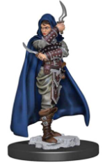 Premium Painted - Human Female Rogue - 77501