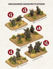 Mechanised Infantry Platoon (TIR702)
