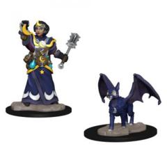 Wizkids Pre-Painted Miniatures: Girl Cleric & Winged Cat