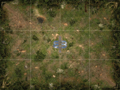 Mage Wars Arena Playmat: Straywood