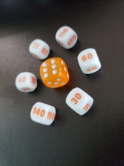 League Battle Pokemon Dice - Reshiram & Charizard