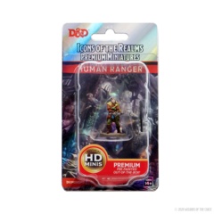 93035 - Premium Painted - Male Elf Fighter