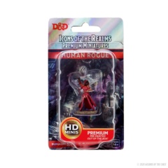 93032 - Premium Painted - Female Human Rogue