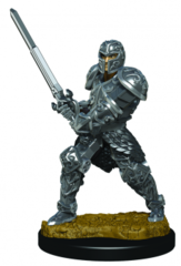 Premium Painted - Human Fighter