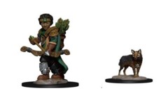 Wizkids Pre-Painted Miniatures: Boy Ranger & Wolf