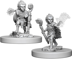 Gnome Male Druid - 73346 - Pathfinder Battles Deep Cuts Unpainted Minis