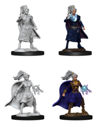Human Sorcerer - Female 73832 - D&D Nolzur's Marvelous Miniatures