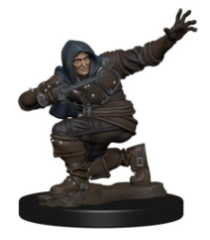 Premium Painted - Human Male Rogue