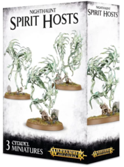 Spirit Hosts