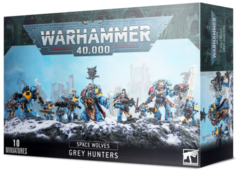 Space Wolves: Grey Hunters