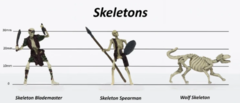 Skeletons Group of 3 - Set B - Blademaster, Spearman, Wolf - 28mm