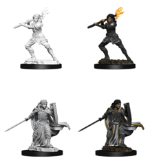 Human Paladin - Female 73830 - D&D Nolzur's Marvelous Miniatures