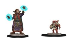 Wizkids Pre-Painted Miniatures: Boy Wizard & Imp