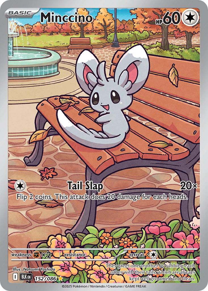 Minccino - 152/086 - Illustration Rare