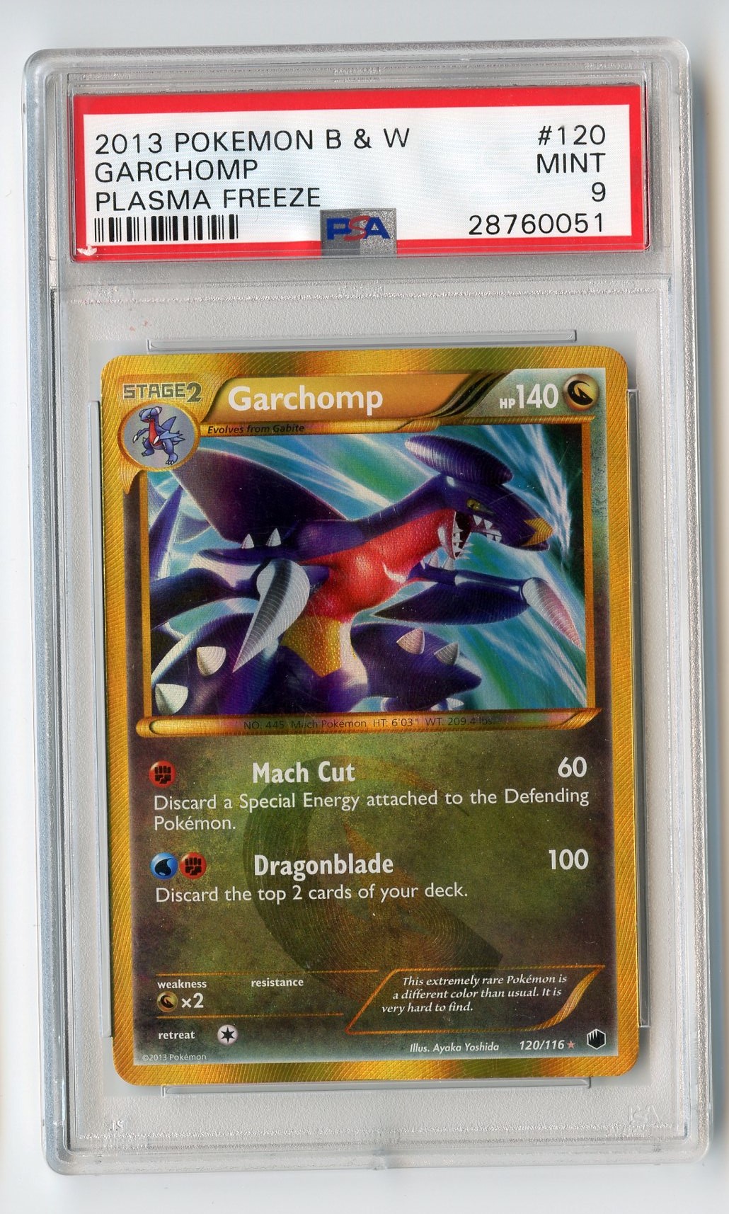 Garchomp purchases plasma freeze