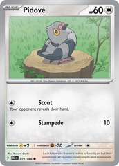Pidove - 071/086 - Common - Reverse Holo