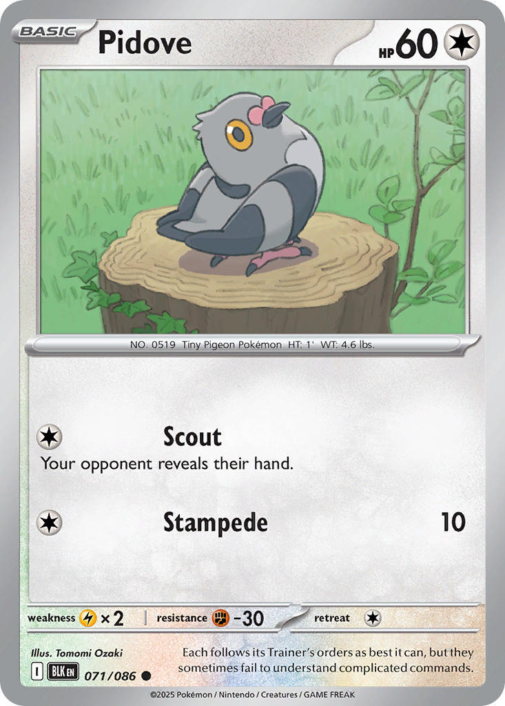 Pidove - 071/086 - Common - Reverse Holo