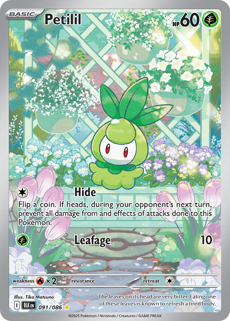 Petilil - 091/086 - Illustration Rare