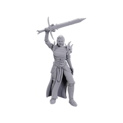 D&D Nolzur's Marvelous Unpainted Miniatures Blackguard