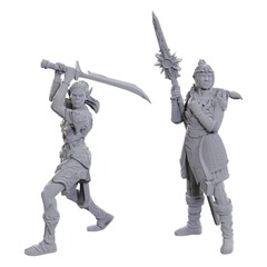 Dungeons & Dragons: Nolzurs Marvelous Unpainted Miniatures - Special Edition Baldurs Gate 3, Laezel & Shadowheart