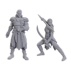 Dungeons & Dragons: Nolzurs Marvelous Unpainted Miniatures - Special Edition Baldurs Gate 3, Jaheira & Halsin